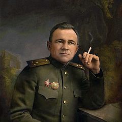 Кавалер ордена - Александра Невского